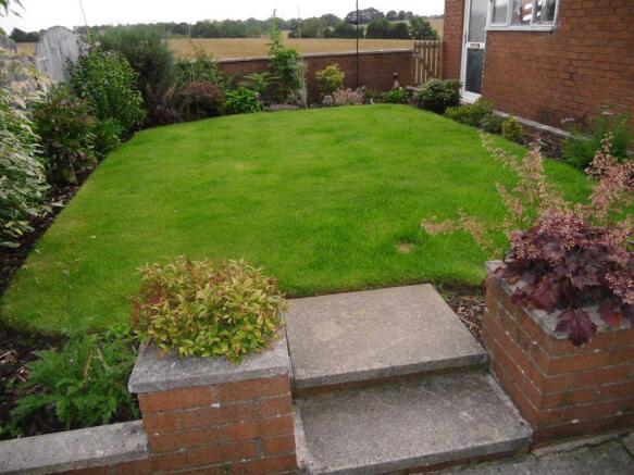 Back Garden An...