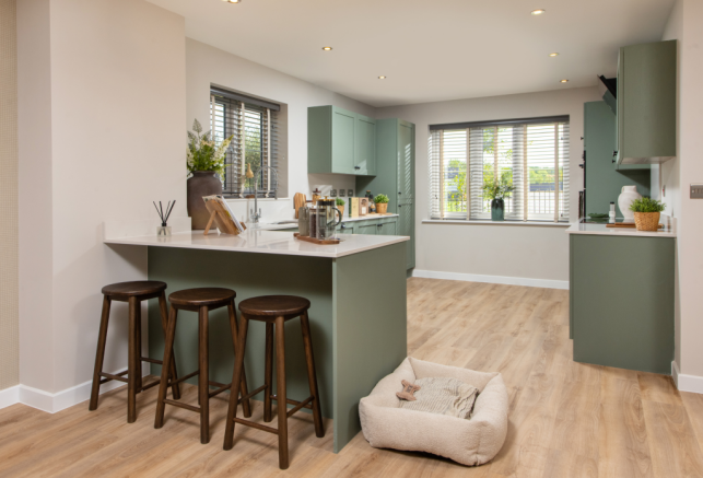 Ash_Kitchen