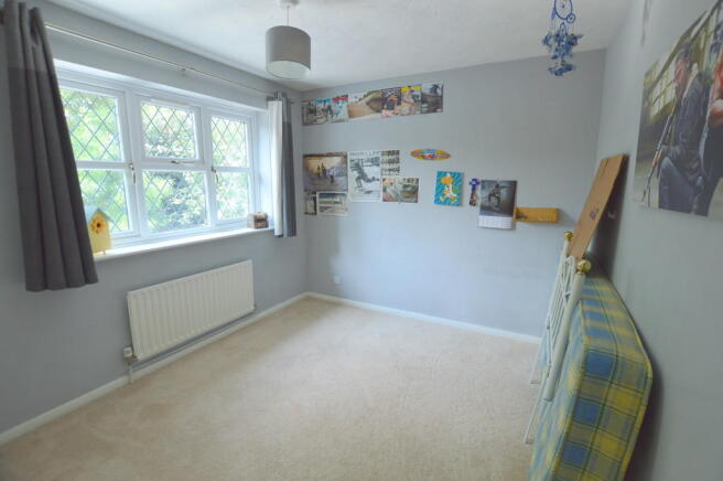 Photo 5