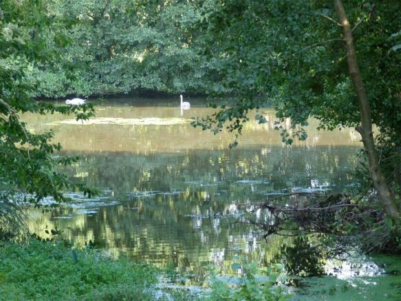 Lake