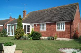 Rear Aspect