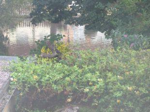 View Of River Dour From Bedroo