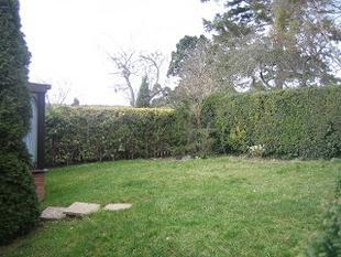 Garden Photo 2