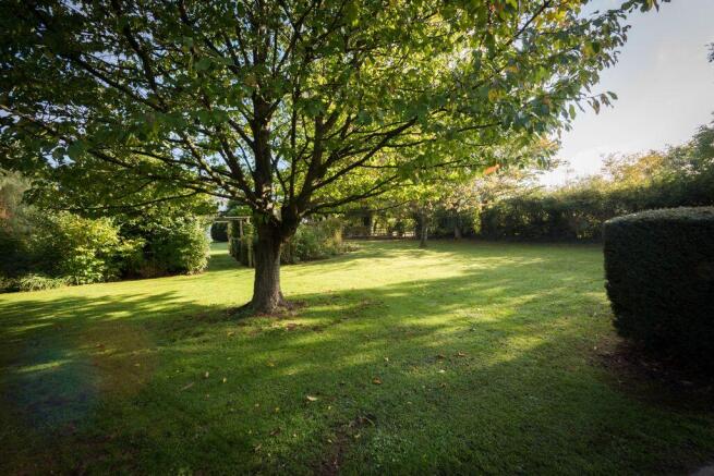 Grounds