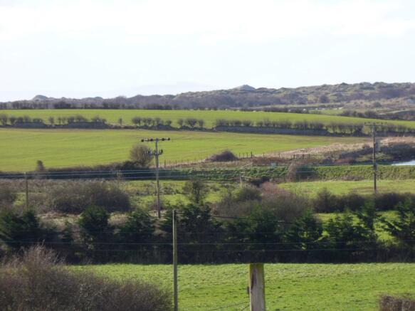 Open Fields