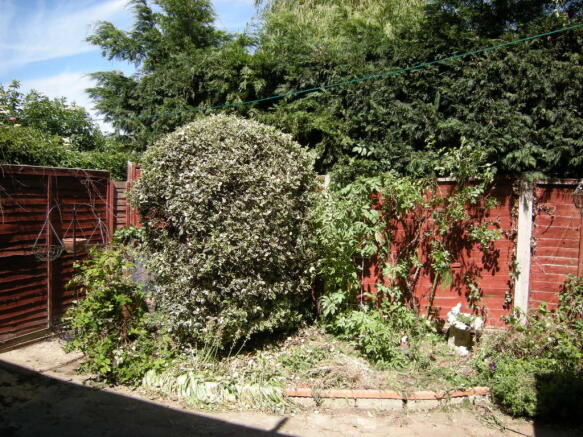 Photo 11