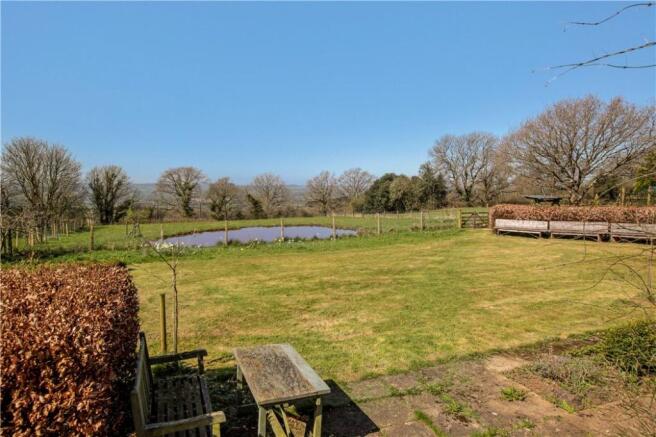 Garden and Pond
