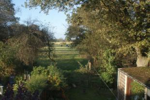 Bedroom View