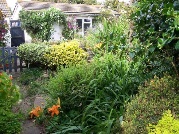 rear of property