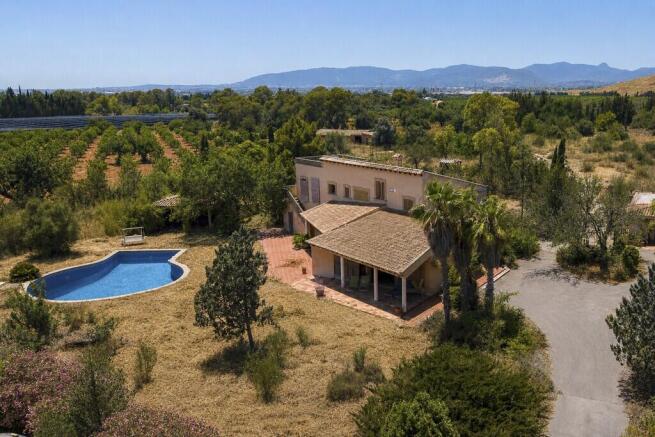 Aerial (6)