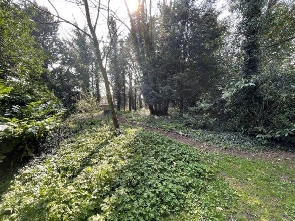 Woodland
