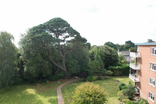 Large tree