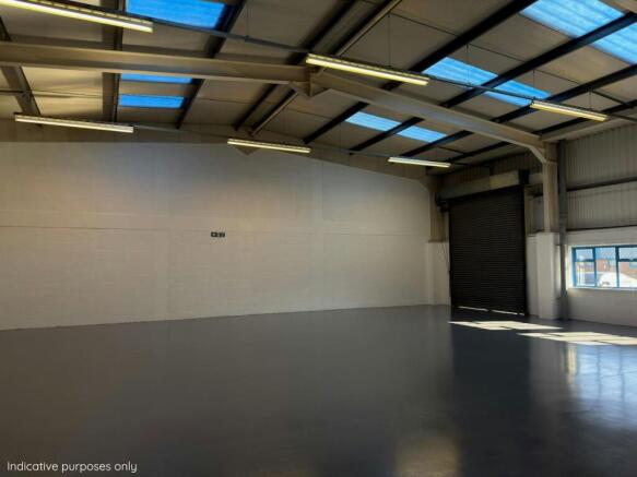 Indicative Peacock.jpg