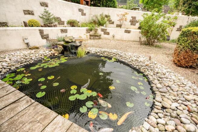 Pond