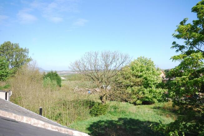 View To The Rear
