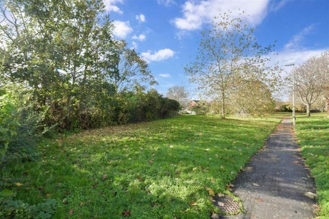 Surrounding Area