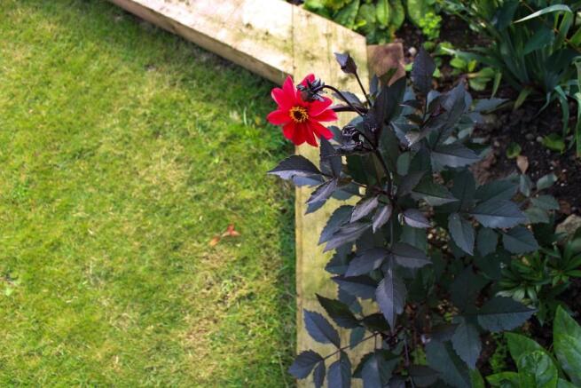 Landscaped