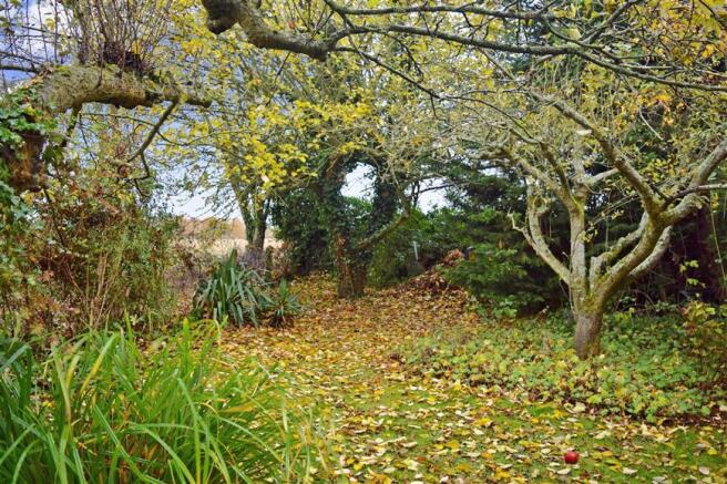 Garden 2