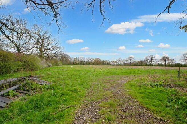 Bottom Field..jpg