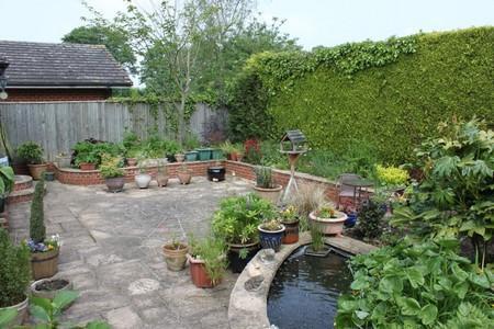 Photo 6