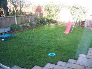Picture 5