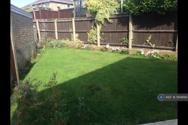 Back Garden