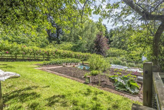 Veg patch