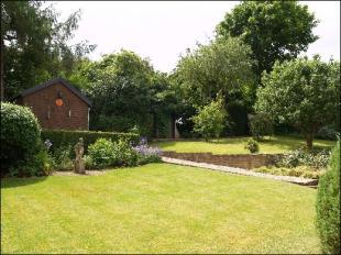 Garden 2