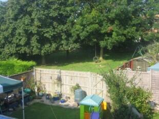 View from bedroom