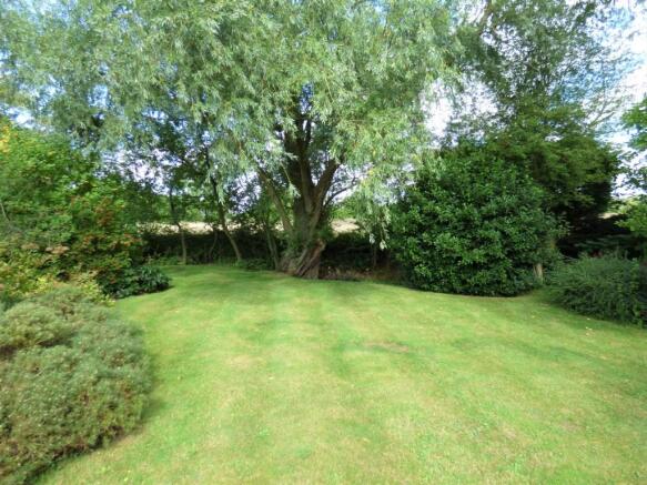 rear gardens