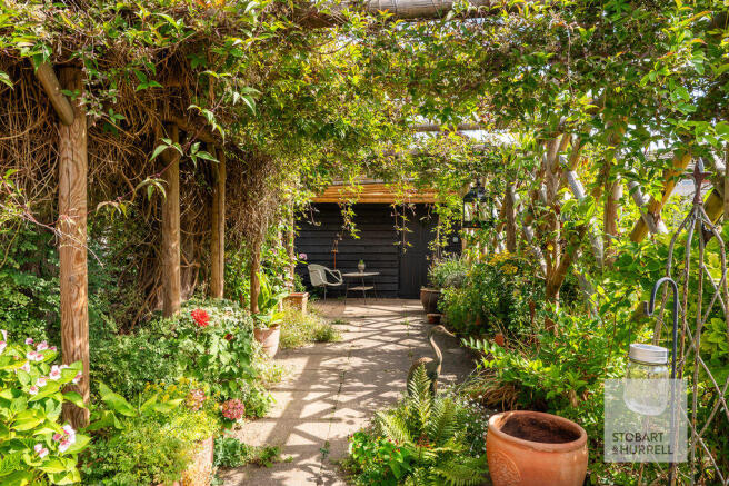Mature Planting