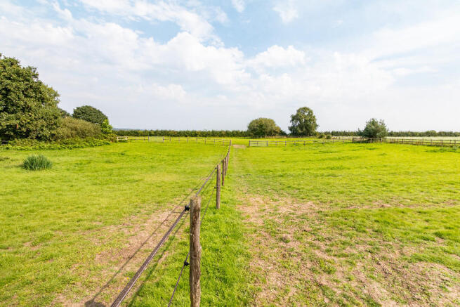 Fields