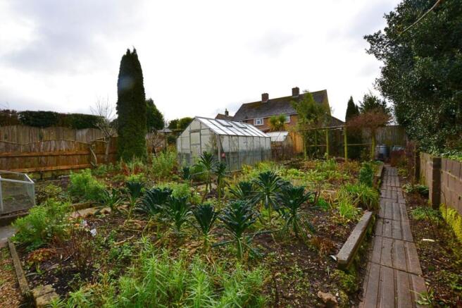Vegetable Garden