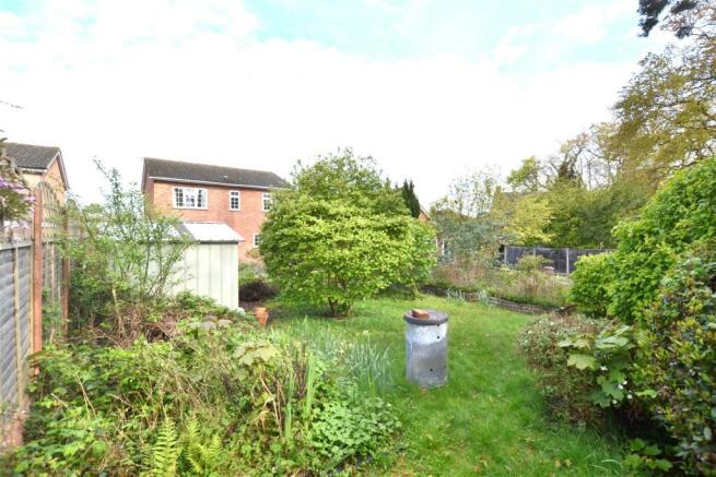 Garden 4.JPG