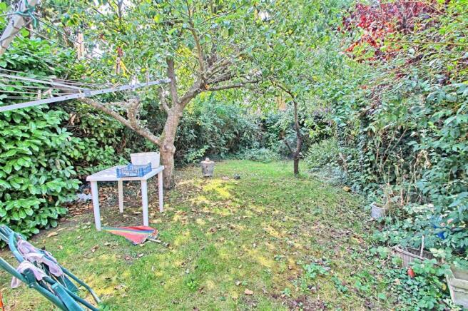 garden.jpg