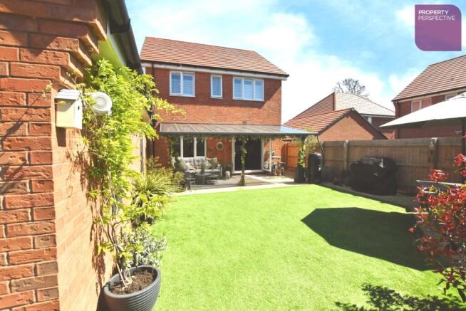 pbox-IMG.jpg