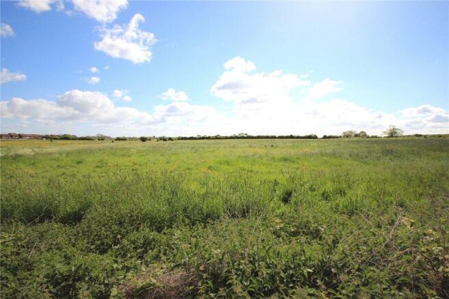 Open Field Views