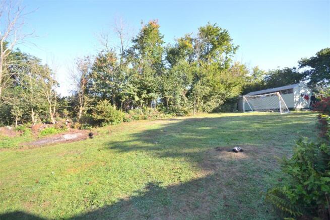 Garden.JPG