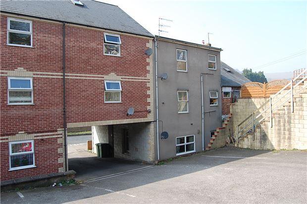 Rear Aspect