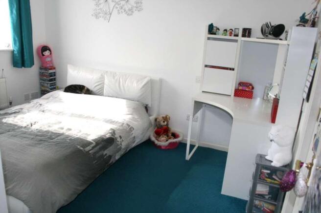 Photo 7