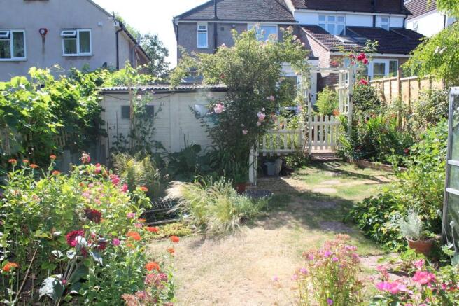Photo 11