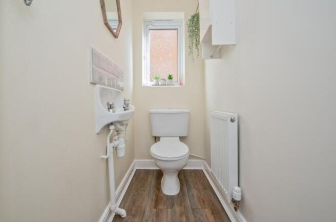 Picture 15