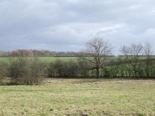 Rural Views To Front