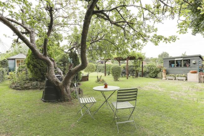 garden.jpg