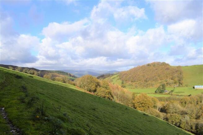 <b>MORE PHOTOGRAPHS ON WEBSITE</b>