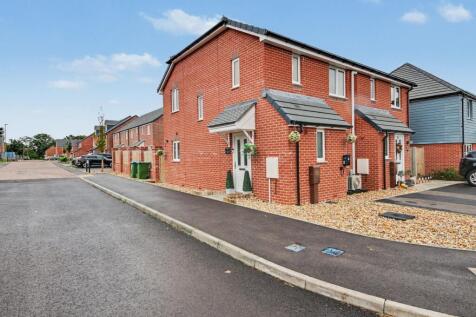 Great Copper Thorn, Stubbington, PO14