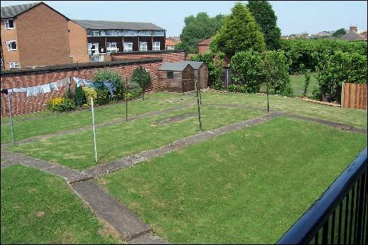 Communal Garden