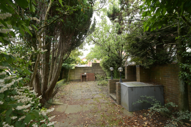 IMAGE 11