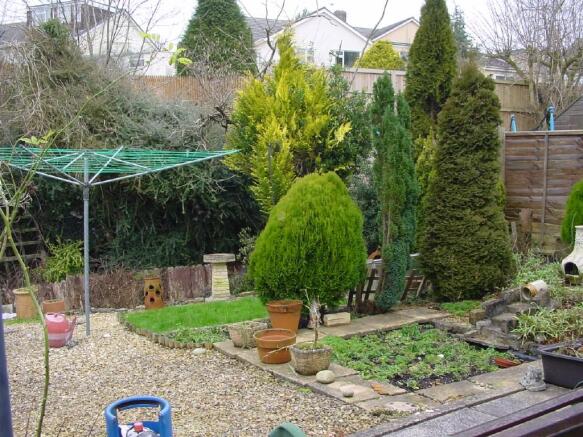 Back Garden