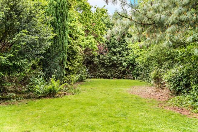 Rear garden